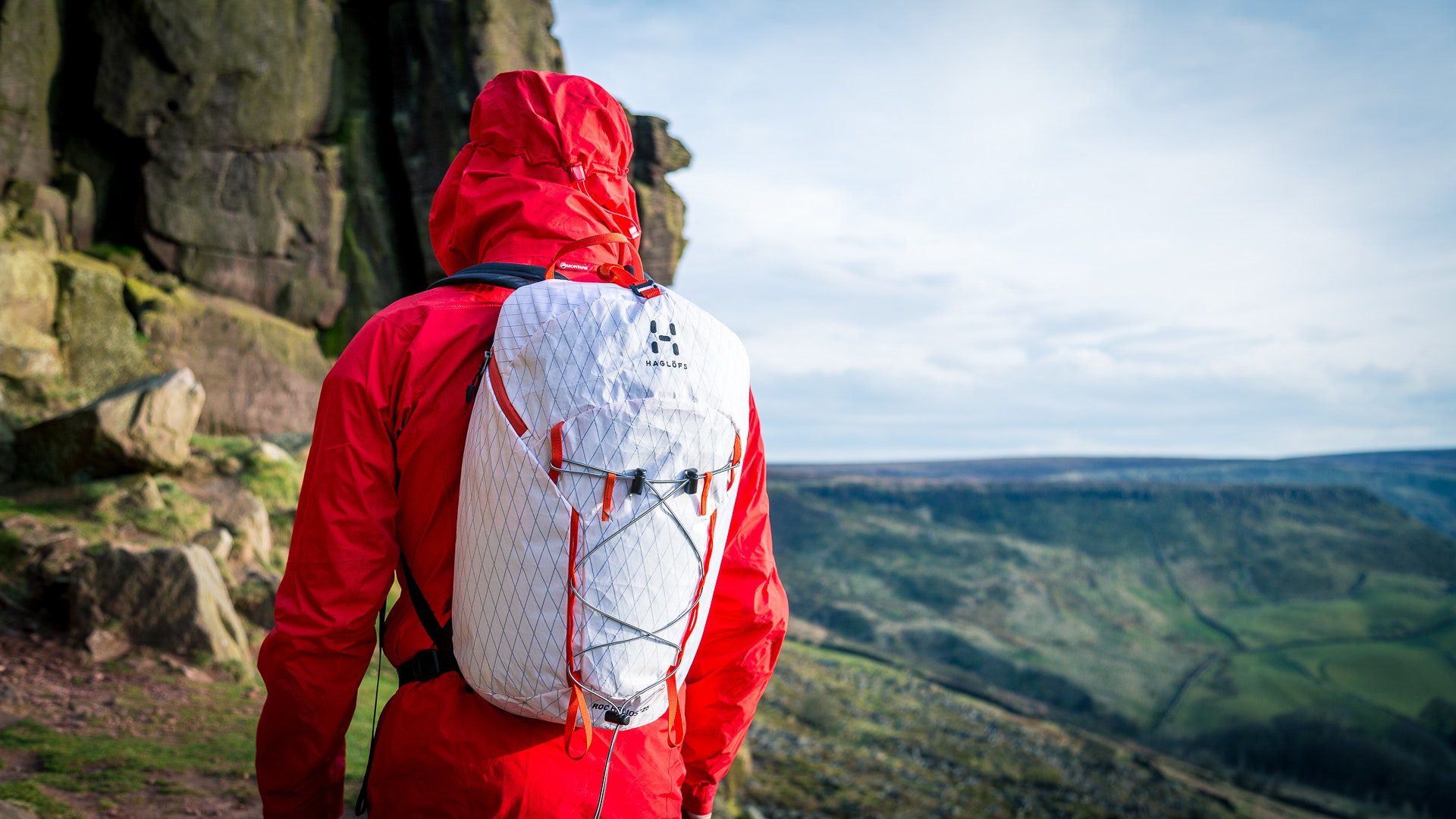 Person looking over landscape